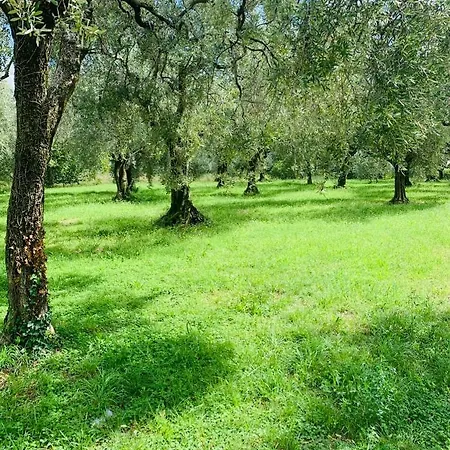 Casa Eva Con Piscina Privata Appartement